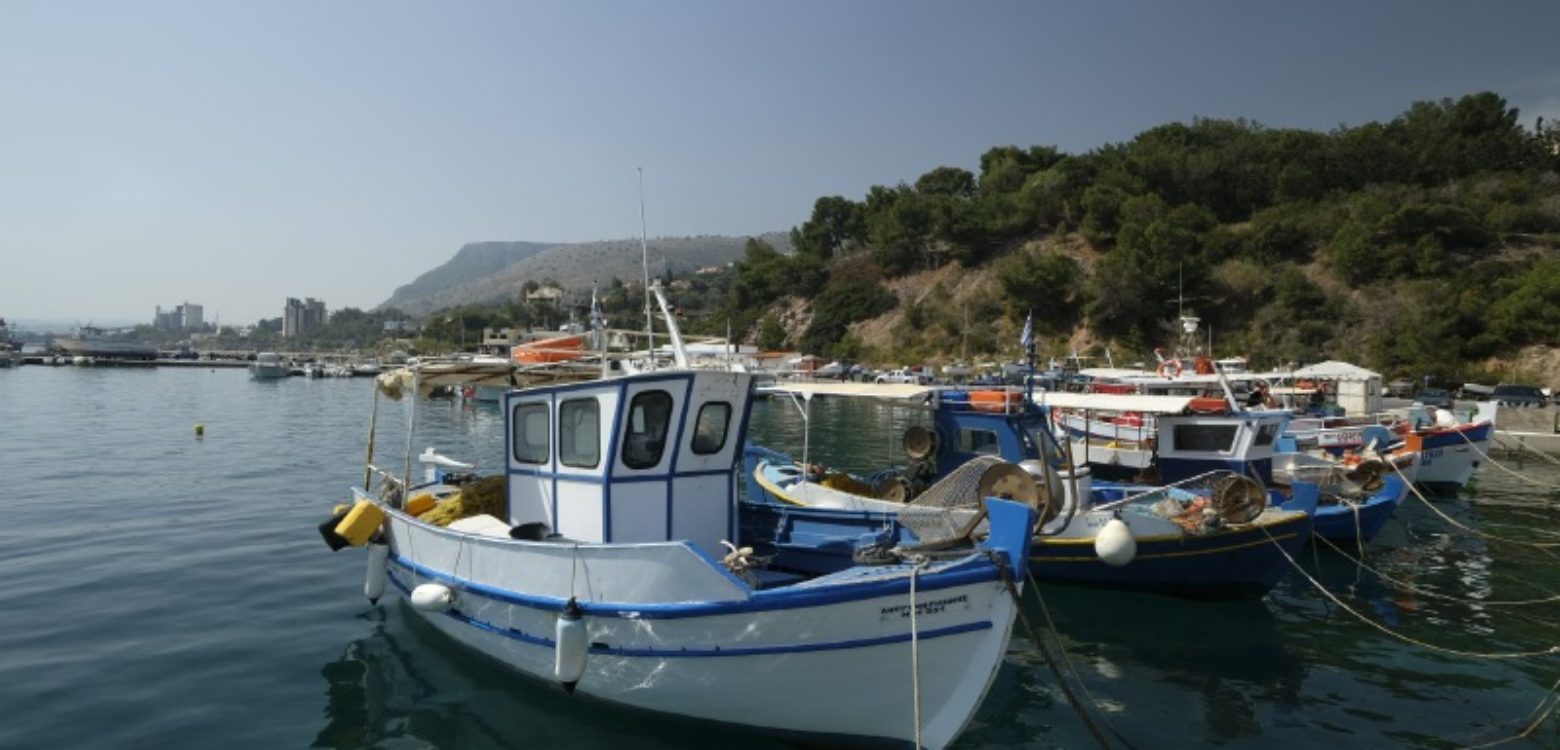 MAL-LINOPERAMATA-0895_GG