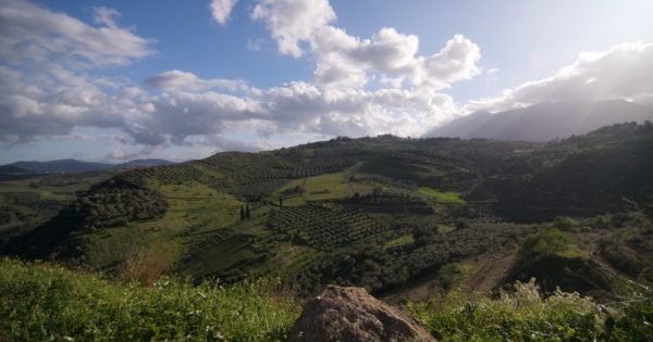 Δήμος Μαλεβιζίου