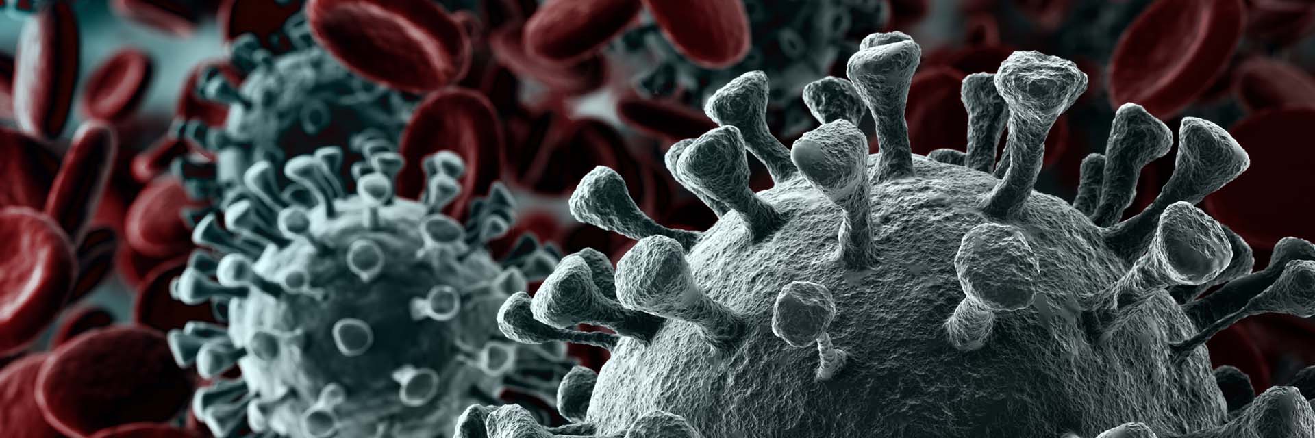 Δήμος Μαλεβιζίου Covid-19