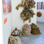 Μουσείο Οίνου και Αμπέλου στο Καμάρι