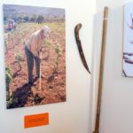 Μουσείο Οίνου και Αμπέλου στο Καμάρι