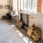 Μουσείο Οίνου και Αμπέλου στο Καμάρι